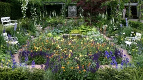 Der verehrte Staudengärtner