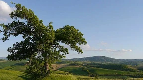 Die deutsche Leitkultur der Doppelmoral und der Nationalstolz der Anderen