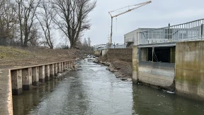 Umleitung soll Fische vor dem Turbinentod schützen