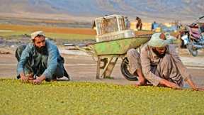 „Wir brauchen bis zu 300 Milliarden Dollar jährlich für die Kleinbauern“