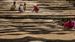 Fairer Kaffee ist soso