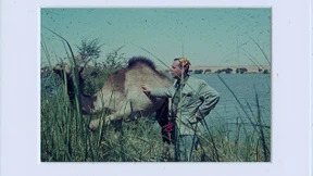 ... in dem ich die alte Dia-Sammlung meines Vaters entdeckte