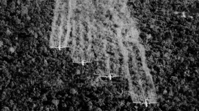 Die Folgen von Agent Orange