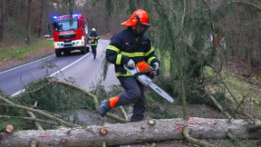 Feuerwehrmann in Niedersachsen verletzt