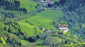 Der heilende Geist des Professor Brinkmann