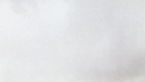 Vom Innenleben sehen wir einmal ab