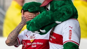 Ein Hoffenheimer hilft Stuttgart