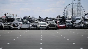 Wenn Investoren auf die Natur wetten