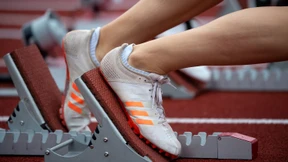 Mehr als 500 Millionen Euro für den Sport