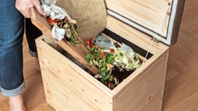 Da ist der Wurm drin