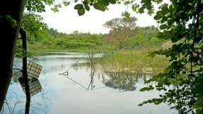 Früherer Steinbruch wird nicht bebaut