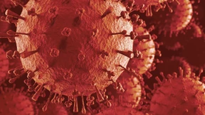 Wie Fresszellen unter Grippeviren leiden