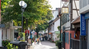 Auch Bad Soden kann Chaos