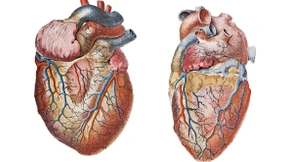 Oh Stellvertreterweh!