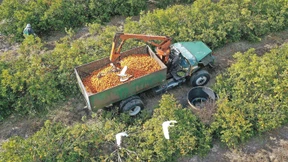 Abschied von der Orange