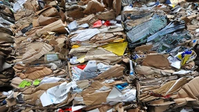 Wer trägt die Schuld?