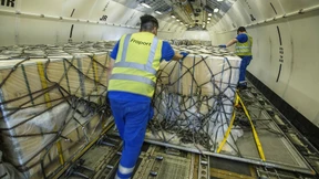 Fisch, edle Steine und Kleidung für alle