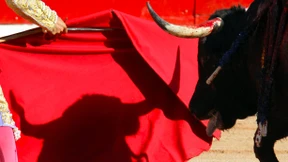 Ab Freitag werden in der Arena wieder Stiere getötet