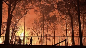 Mundtot gemachte Klimaforscher