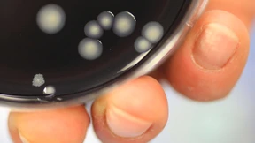 Bis Ende 2016 müssen Vermieter Trinkwasser prüfen lassen