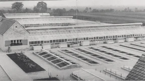 Auffallend dumm und brutal