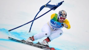 Schönfelders Lebenswerk