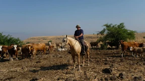 Wer gutes Ökofleisch will, bestellt bei den Cowboys