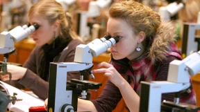 Der Lernerfolg kommt mit der Struktur