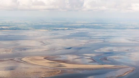 Die Hälfte des Weltnaturerbes ist in Gefahr