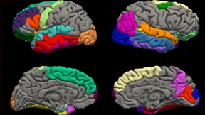 Haben Lockdowns das Gehirn schneller altern lassen?