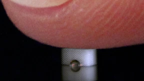 Keine Spur von der Erbse  