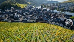 Wie ist der Wein-Jahrgang 2022?