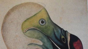 Revoluzzer mit Anstand