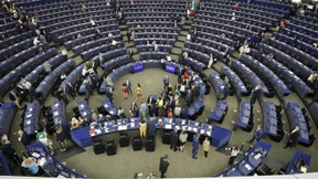 Die Chimäre aus Straßburg