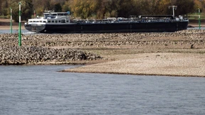 Kleiner Rhein, großer Wein 