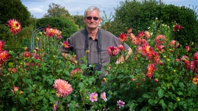 Ein Bild von einem Garten