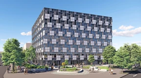 Ein Würfel für den Nachwuchs