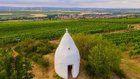 Der Regen füllt die Trauben