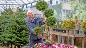 Wie Zollkontrollen Nordirland spalten