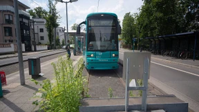 Über Grenzen hinweg