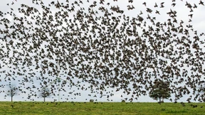 Was die Kompassnadel im Auge macht