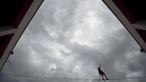 Bunte Vielfalt unter grauem Himmel