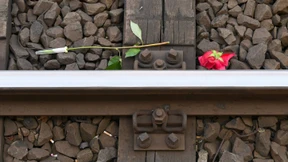 Fakten und Gefühle