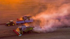 Am besten wachsen die Sorgen