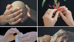 Katalog der unbesungenen Gesten