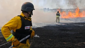 Verbundenheit auf Abruf