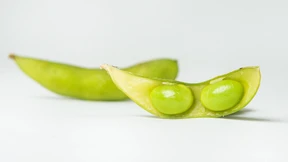 Die Sojabohne steht vor den Toren Wiens
