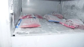 Kronzeuge belastet Renndirektor