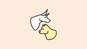 Wer an unserer Börse am höchsten im Kurs stand