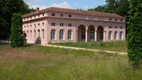 Das Machtsystem Homolka